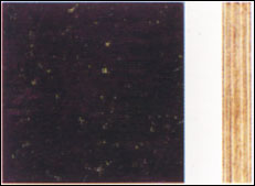 �� �M(j��n)�ڽ��n���N����Ԕ��(x��)��B