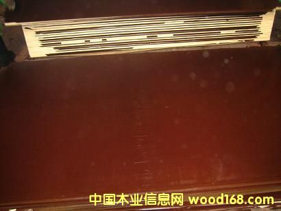 ����ģ���Ԕ����B