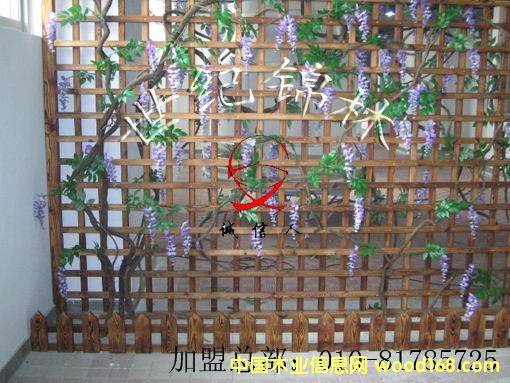 ̼��ľ���L��Ԕ����B