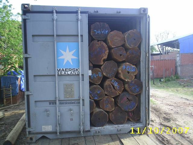 morado,܊����ľ��Ԕ����B