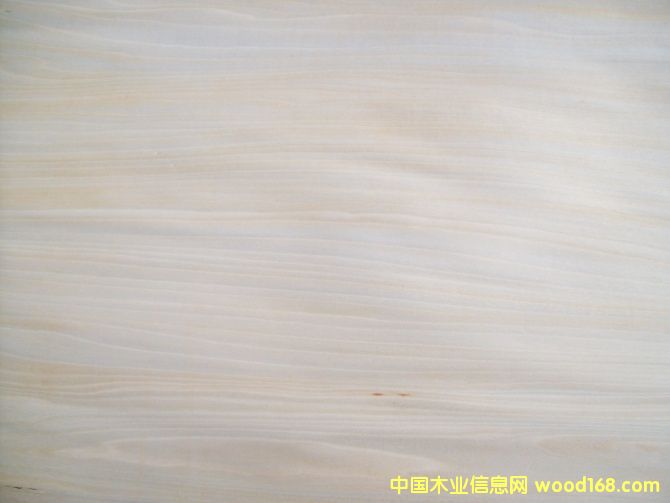 �ľ��Ƥ�����棲��Ԕ����B