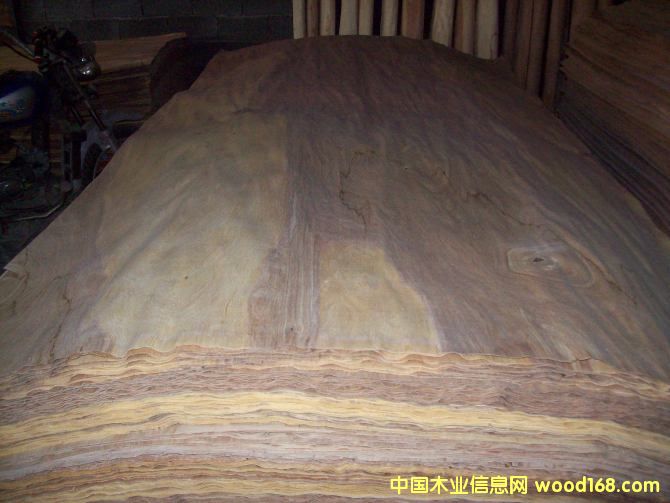 ���_˹�������Іΰ�E