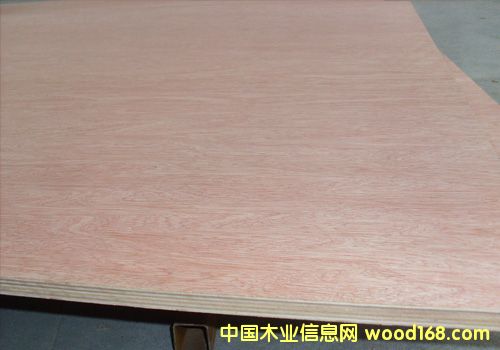 ȫ�sľ�z�ϰ��Ԕ��(x��)��B