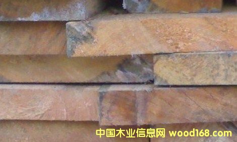 �t�ɰ�ĵ�Ԕ����B