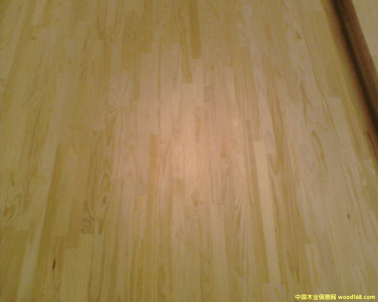 ��ľָ�Ӱ��Ԕ��(x��)��B