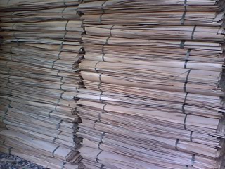 ��ľ�ΰ��Ԕ��(x��)��B