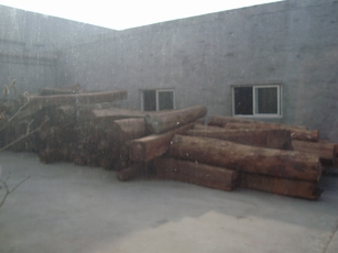 ������~��̴ľ��Ԕ��(x��)��B