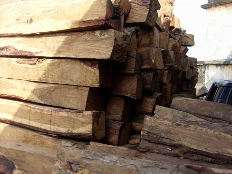 �L(zh��ng)�ڬF(xi��n)؛����(y��ng)���ށ����棨KOSSO���ذ���Іΰ�/����/����Ԕ��(x��)��B