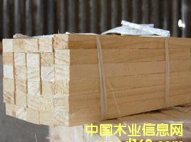 �ľ�ٹ���Ԕ��(x��)��B