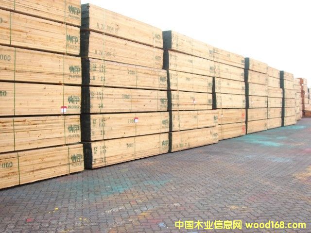 �M(j��n)�ڃ�(y��u)�|(zh��)�Fɼľ