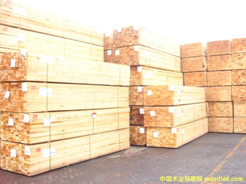 ������ľ�ĵ�Ԕ��(x��)��B