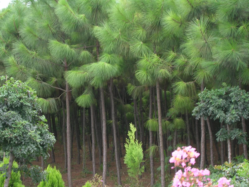 �Rβ��1��Ԕ����B