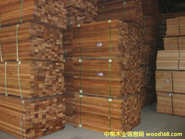 �tѩ�ɵ�Ԕ����B