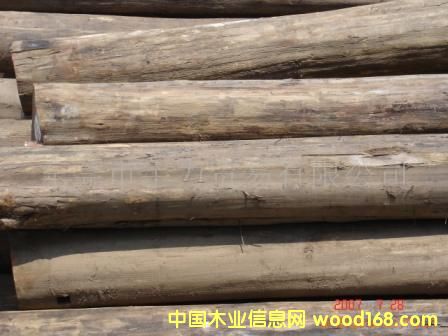 ��ľԭľ.��ľ���.��ľ�ذ����ϵ�Ԕ����B