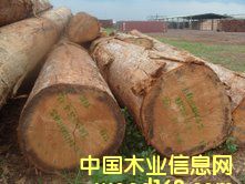 ����˹��Ԕ����B