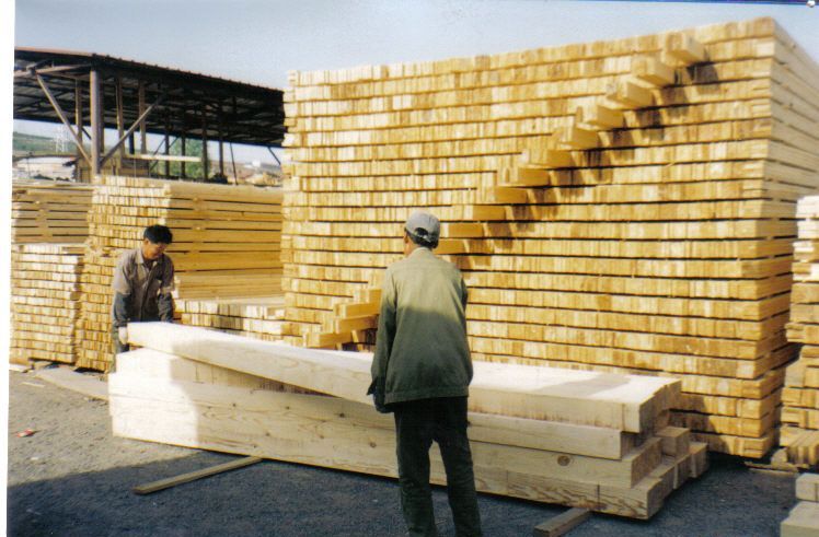 ����ľ����������ľë�ϵ�Ԕ����B