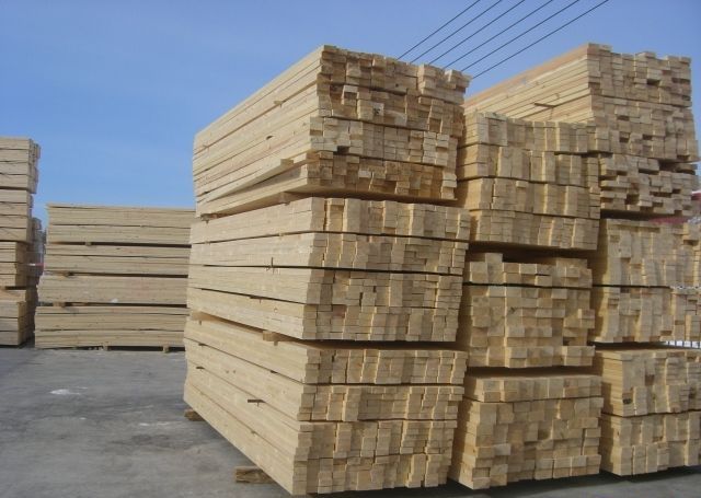 ����ľ����������ľë�ϵ�Ԕ����B