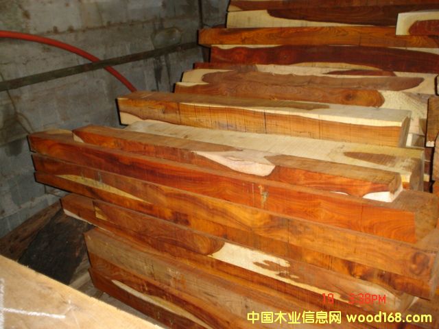 �t��֦��Ԕ��(x��)��B