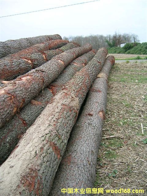 �M(j��n)����ľԭľ��Ԕ��(x��)��B