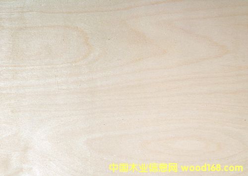 �ט��Ԕ��(x��)��B