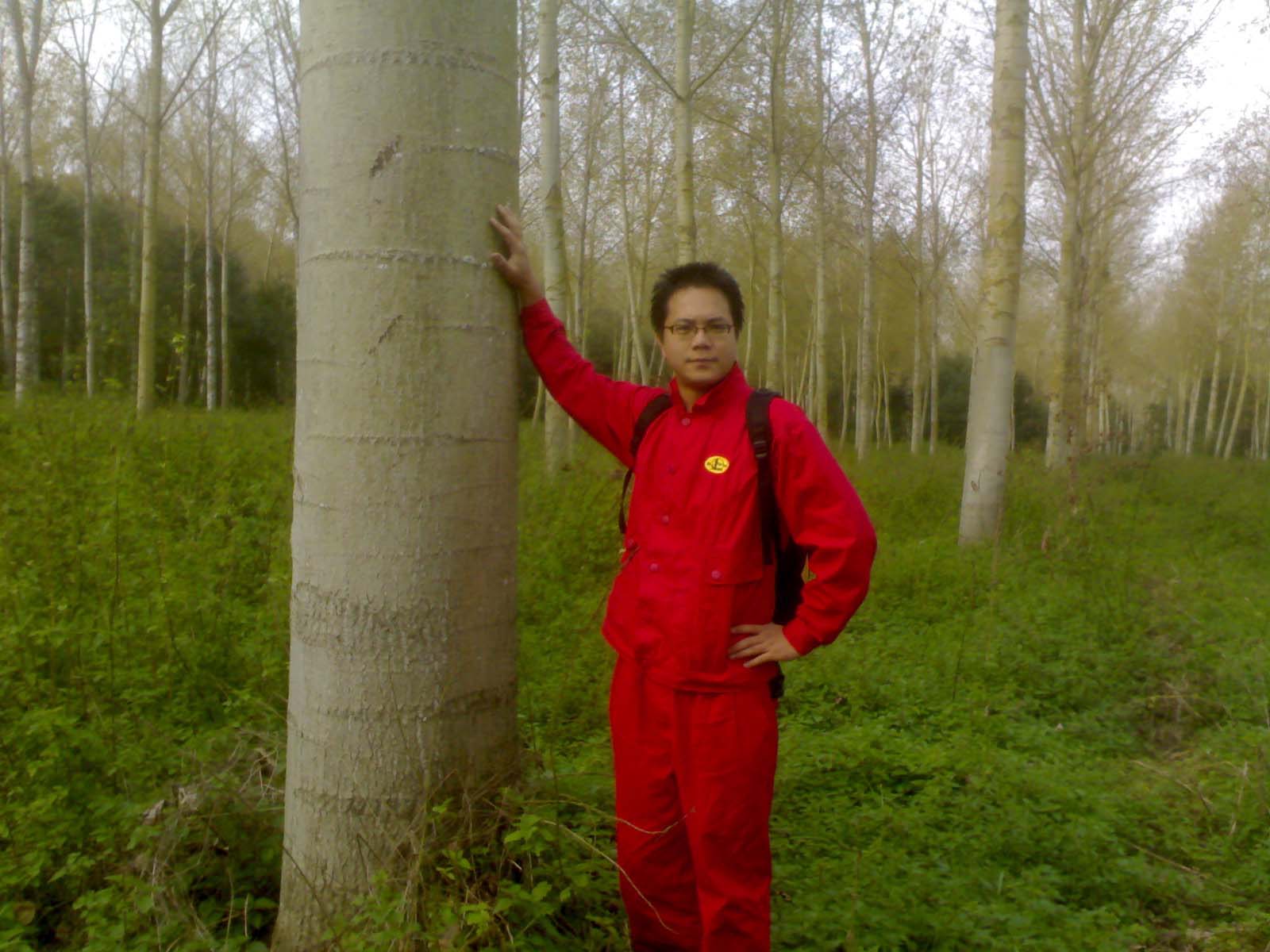 ��������ԭľ��Ԕ��(x��)��B