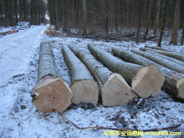 �W��ˮ����ԭľ��Ԕ����B