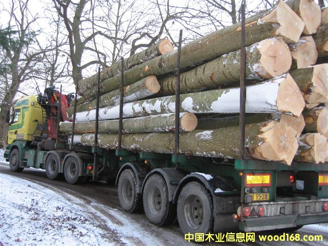 �W�ް�˨ԭľ��Ash logs)��Ԕ����B