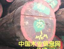 ��W�S��Niove