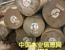 ����Ī����(Afrormosia)��Ԕ��(x��)��B