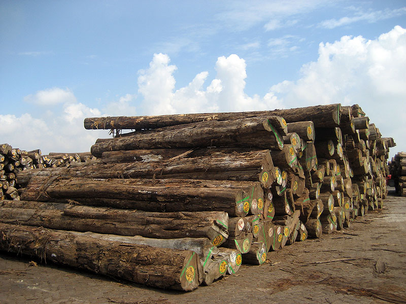 ��ľԭľ��Ԕ����B