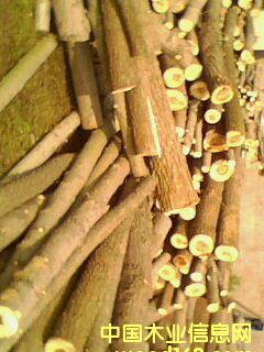 ��ľԭľ��Ԕ��(x��)��B