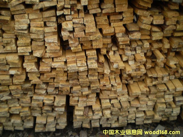 ľ����ľ����Ԕ����B