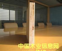 �����ƺ�о��ľ�T�����T�װ�ϵ�� ��Ԕ��(x��)��B