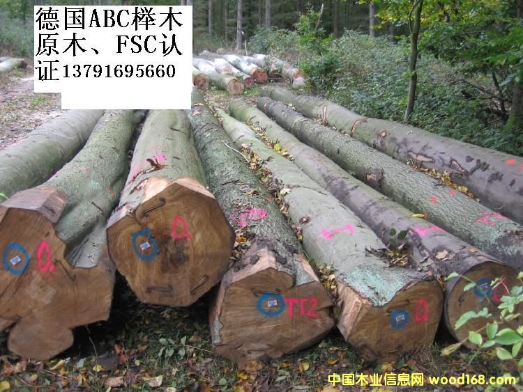 FSC�J�C�ĵ���ľԭľ��Ԕ����B