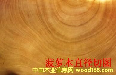 ���}ľ���Ԕ����B