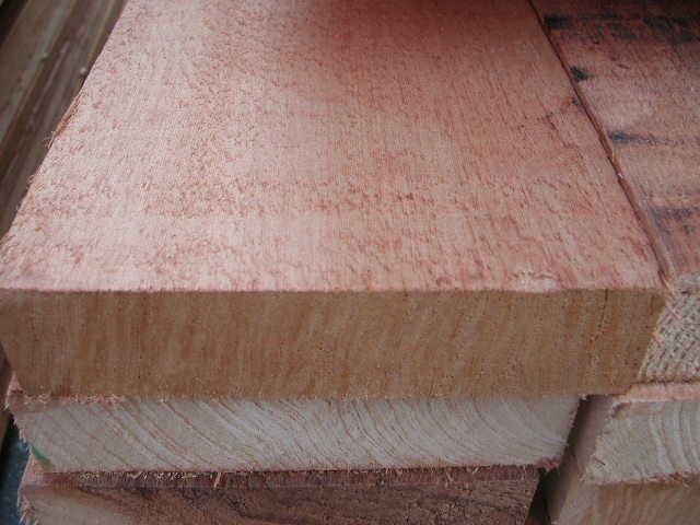 �tѩ����ĵ�Ԕ��(x��)��B