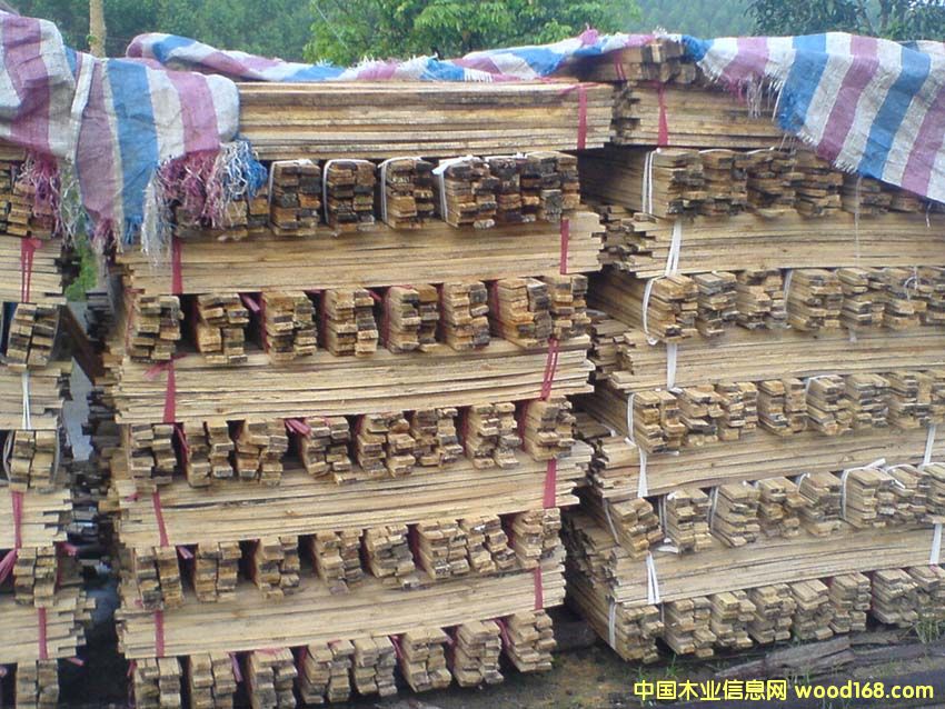 ľ���Ԕ��(x��)��B