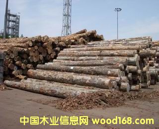 ���Nԭľ��Ԕ����B