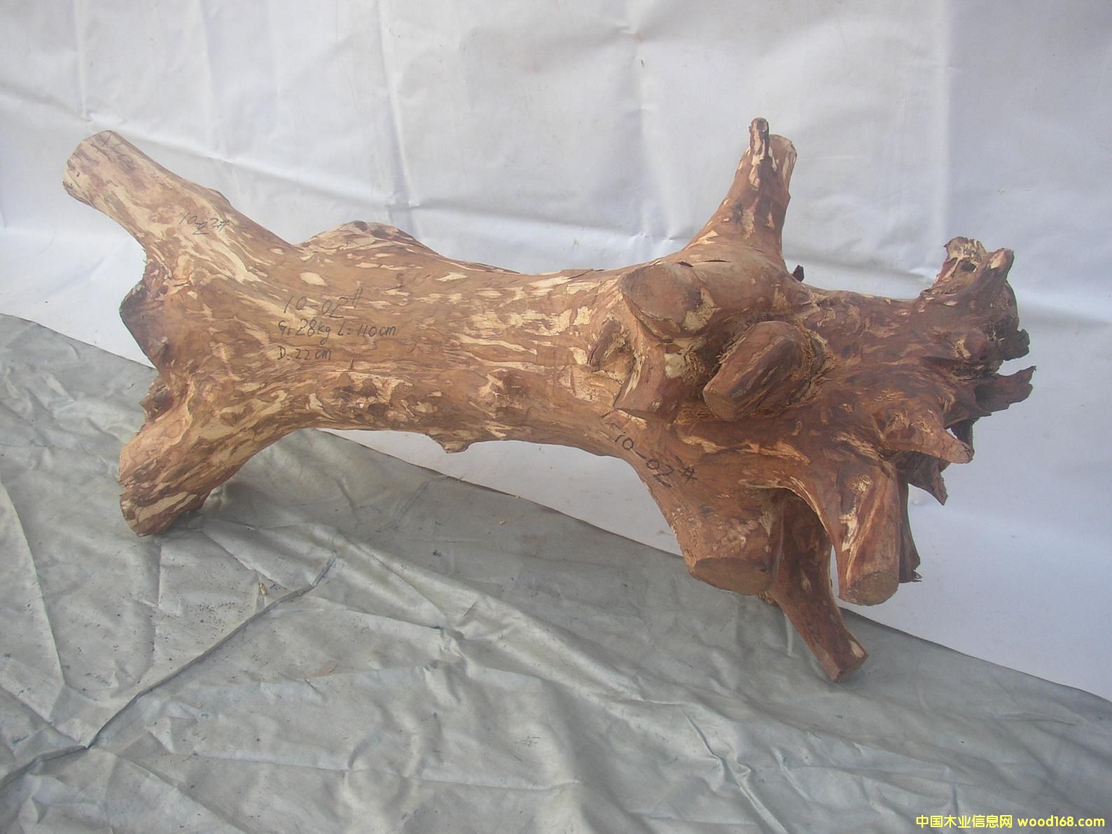 �����S����10-02̖��Ԕ����B