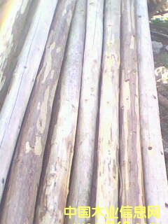 ɼԭľ��Ԕ����B