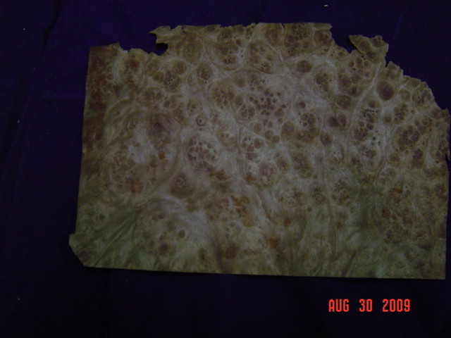 �t������Ԕ��(x��)��B