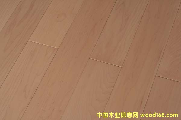 ��ľ��Ԕ����B