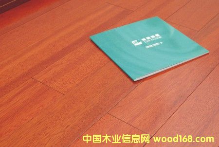 ����ľ��Ԕ����B