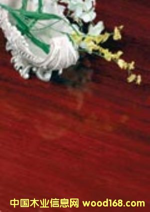 ӡ��ľ��Ԕ����B