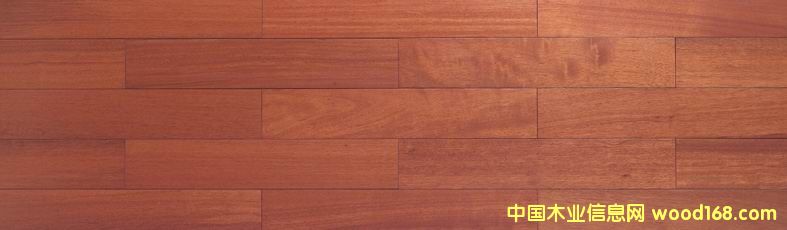 ��ľ��Ԕ��(x��)��B