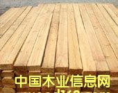 ľ����Ԕ����B