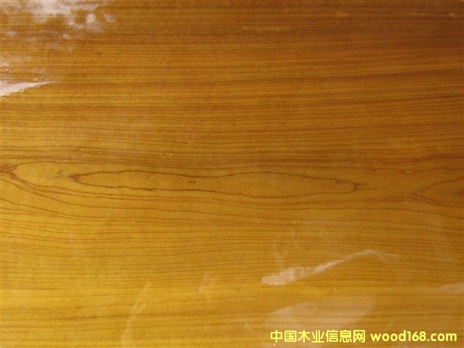 ��z�ľ�ײĵ�Ԕ����B