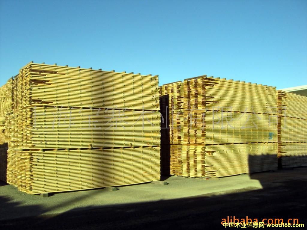 ݗ���ɰ�ĵ�Ԕ����B