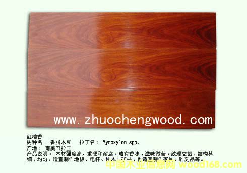 �t̴���Ԕ��(x��)��B