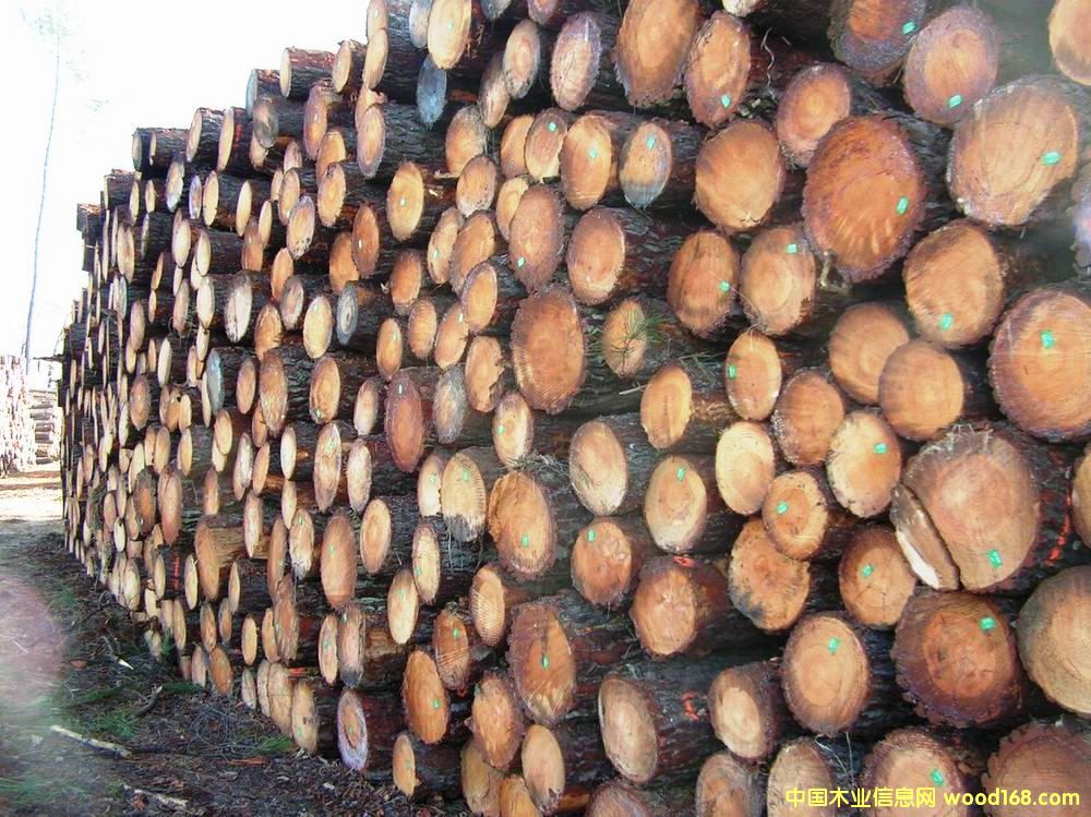 ������ԭľ��Ԕ����B